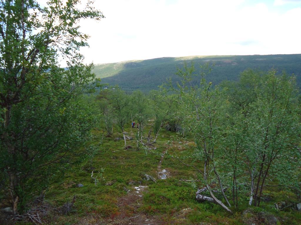 Gargia Lodge Alta Eksteriør billede