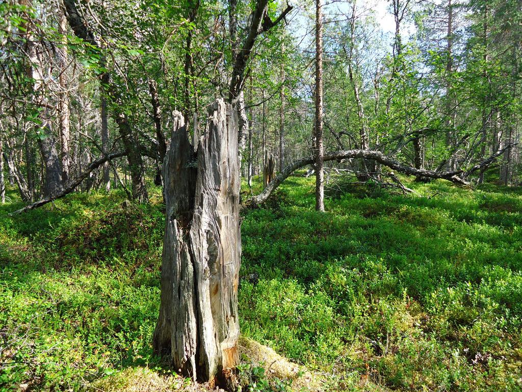 Gargia Lodge Alta Eksteriør billede